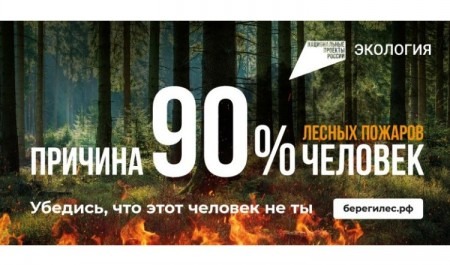Минлеспром напоминает об ответственности за нарушение правил пожарной безопасности в лесах