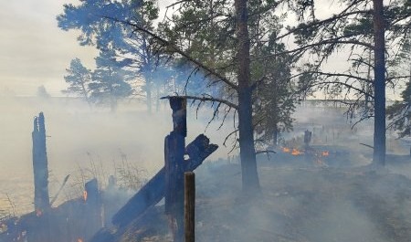 Пожарные Пертоминска отстояли "Онежское Поморье" у огня