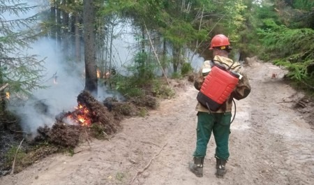 Причина большинства лесных пожаров в Поморье – неосторожное обращение с огнем населения