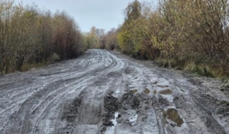 Глава Архангельска прокомментировал ситуацию с убитой дорогой на Бревеннике