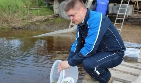 РВК-Архангельск выпустил в Онегу более 10 тысяч мальков ценных пород рыб