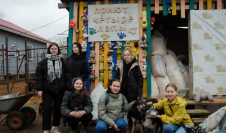 Студенты САФУ съездили в приют для помощи бездомным животным