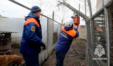 Сотрудники МЧС России в ЕАО помогли собачьему приюту