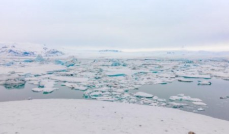 Глобальное потепление: в Архангельской области растаял целый арктический остров