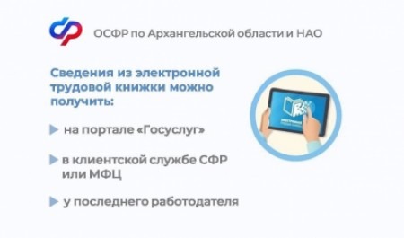 В Поморье и НАО более 77 тысяч человек выбрали электронную трудовую книжку