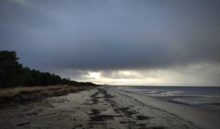 Берег Белого море на острове Ягры в объективе фотографа News29