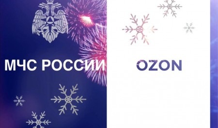 МЧС России и Ozon напомнят покупателям фейерверков о технике безопасности