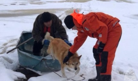 Под Архангельском пенсионер едва не утонул в ледяной воде, спасая своего пса