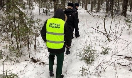 В предновогодние дни патрулирование в лесах Архангельской области будет усилено