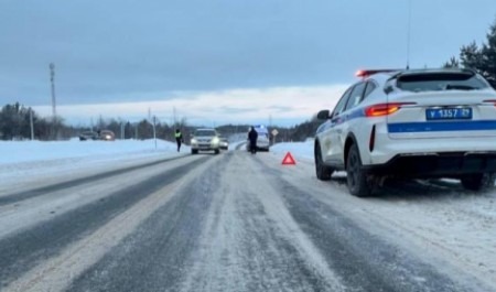 В Архангельской области пенсионер погиб под колесами иномарки, перебегая трассу