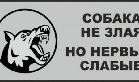 В Архангельске собака обезобразила лицо лицеиста, но судить будут не ее