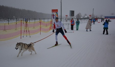 В Малиновке завершился чемпионат Северо-Запада России по ездовому спорту