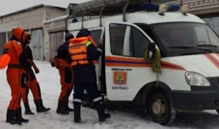 В Архангельской области спасатели в гидрокостюмах вытащили собаку из ледяной воды