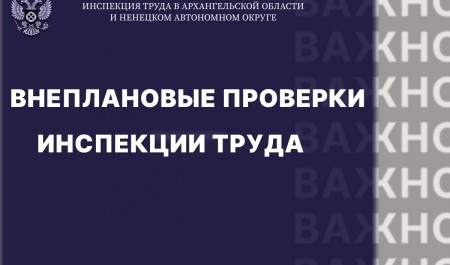 Архангельский бизнес шокировали внеплановые проверки