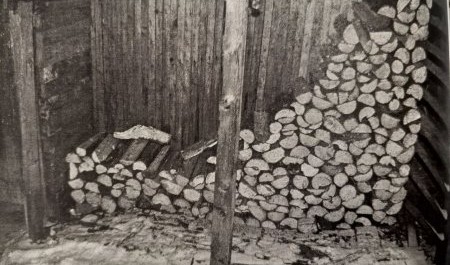 Житель Архангельска пытался взорвать квартиру с четыремя обитателями