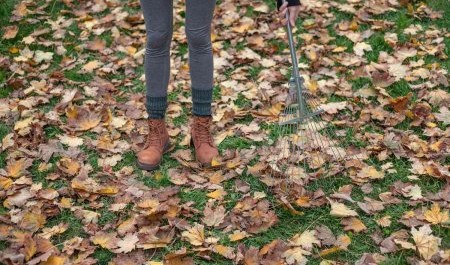 Архангельские приставы заставили нерадивую мать безвозмездно убирать город