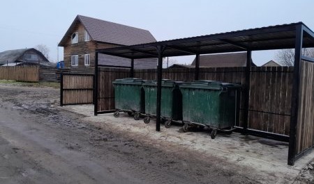 Вельская колония вносит свою лепту в борьбу за экологию