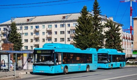 "Рико" своими ДТП достала даже трудовую инспекцию