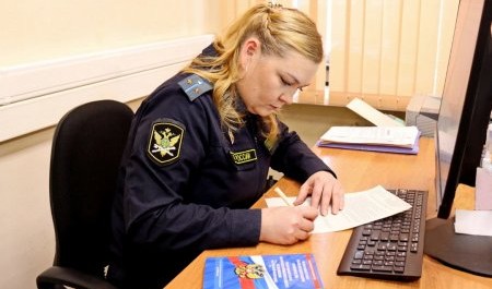 Незаконная рубка леса обошлась жителю Поморья в миллион рублей