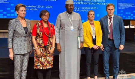 Делегация МЧС России обсудила с африканскими партнерами продовольственные и гуманитарные инициативы