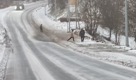 Две беды Вилегодского округа Архангельской области