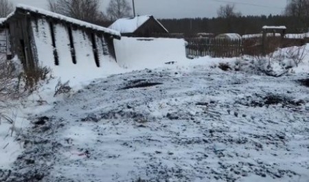 В центре Коноши наконец зачистили нелегальную мусорную свалку