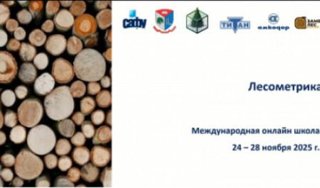 Международная онлайн-школа «Лесометрика» завершилась в САФУ