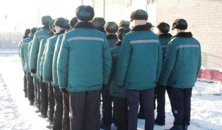 Юный мошенник из Архангельска отправится в воспитательную колонию