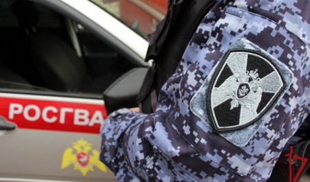 Результаты работы лицензионно-разрешительных подразделений и вневедомственной охраны Росгвардии за неделю