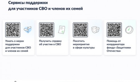 Сервисы поддержки для участников СВО и членов их семей