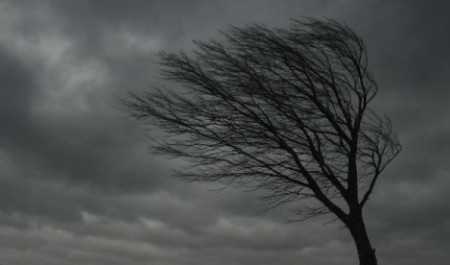 Северный ветер разгонится до 20 м/с в преддверии выходных в Архангельской области Северный ветер разгонится до 20 м/с в преддверии выходных в Архангельской области