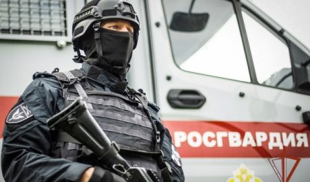 В Коряжме дебошир пристал к росгвардейцу и поплатился В Коряжме дебошир пристал к росгвардейцу и поплатился