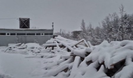 Окраина Новодвинска задыхается в гари из-за местного автосервиса