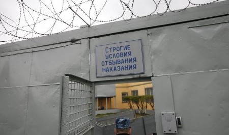 Многодетный отец из Северодвинска получил 3 года строгого режима за взятку Многодетный отец из Северодвинска получил 3 года строгого режима за взятку