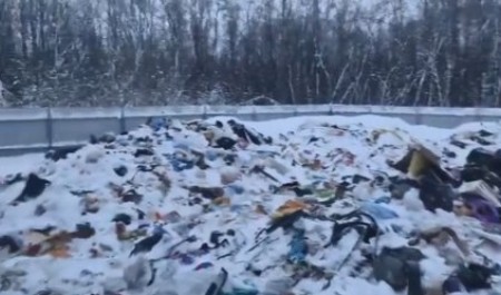 На острове Бревенник обнаружена мусорная недосвалка