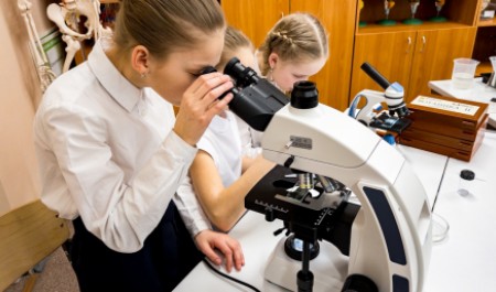 Стартовал прием работ на областной конкурс юношеских исследовательских работ имени Ломоносова