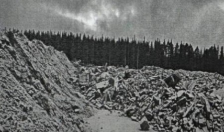 Прокуратура добилась возмещения рекордного ущерба экологии в Архангельской области