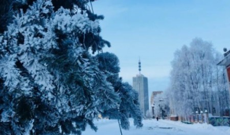 Новогодняя ночь в Архангельской области обещает морозы до -25 градусов
