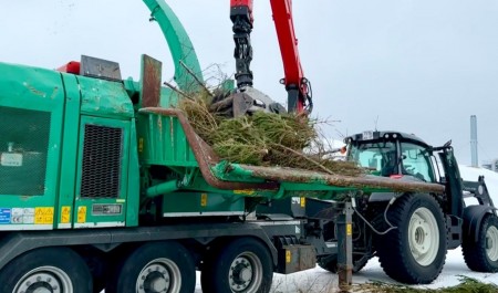 В Архангельской области вновь пройдет акция по утилизации новогодних деревьев