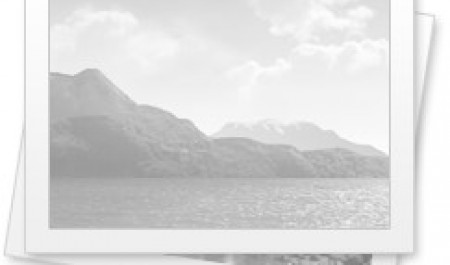 Аксессуары для телефонов: советы по выбору и покупке — особенности материалов и дизайна