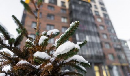 Группа Аквилон в 2025 году построила в Поморье более 155 тыс. кв. м нового жилья