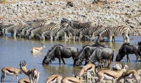 Доброе утро! Похмельные завтраки разных народов
