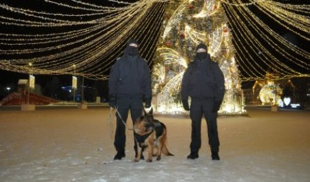 В новогоднюю ночь покой Нарьян-Мара охраняла Кэрри