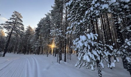 Первая помощь при переохлаждении: рекомендации МЧС