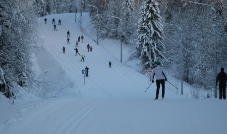 О зимних активностях региона можно узнать на туристическом портале Поморья