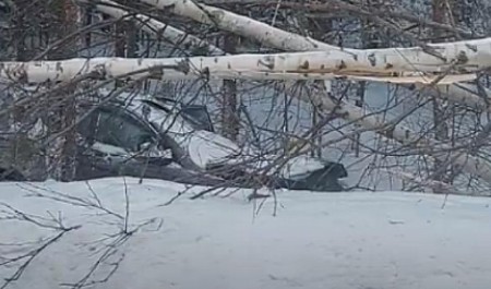 Не рассчитал поворот: в Архангельской области автомобиль вылетел с дороги в лес Не рассчитал поворот: в Архангельской области автомобиль вылетел с дороги в лес