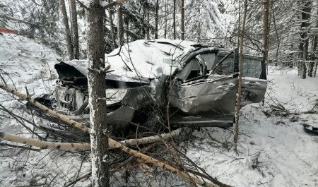 На юге Архангельской области женщина-водитель улетела в кювет На юге Архангельской области женщина-водитель улетела в кювет