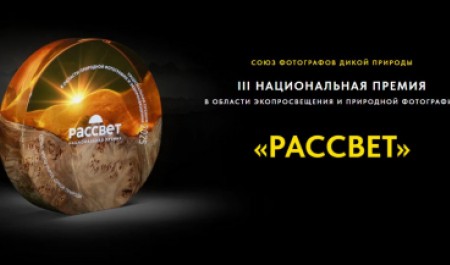 Идет прием заявок на соискание национальной премии в области экологического просвещения