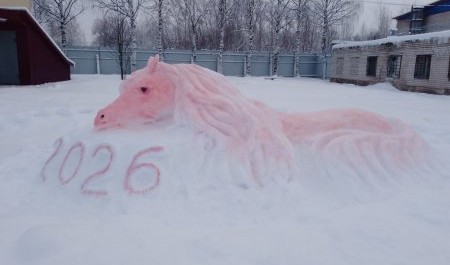 Как дети. Осужденные из Котласа слепили из снега лошадку