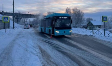 Водитель автобуса сбил переходившую по «зебре» молодую девушку в Архангельске